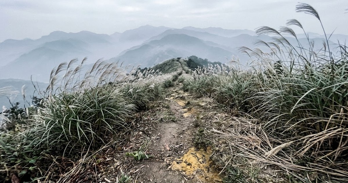 秋日山區的芒草與步道，連假前的淡季平日最適合先探路