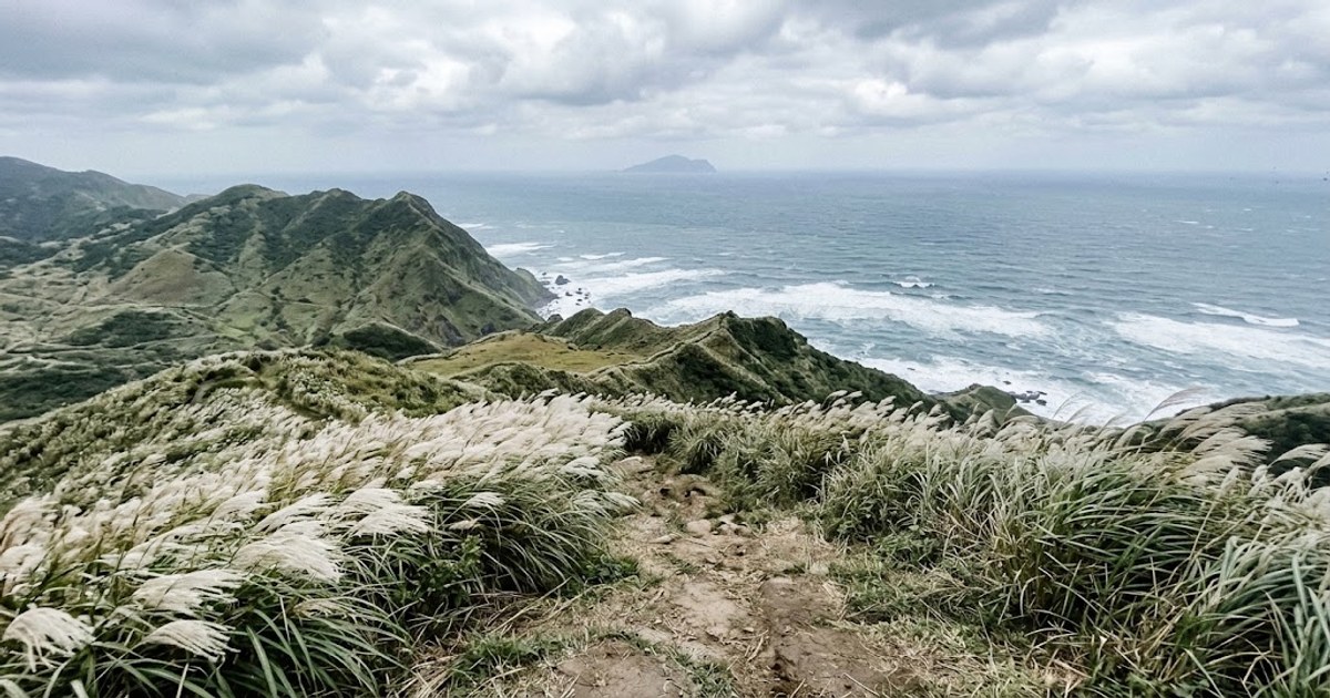 稜線上的白色芒花海與遠方海岸