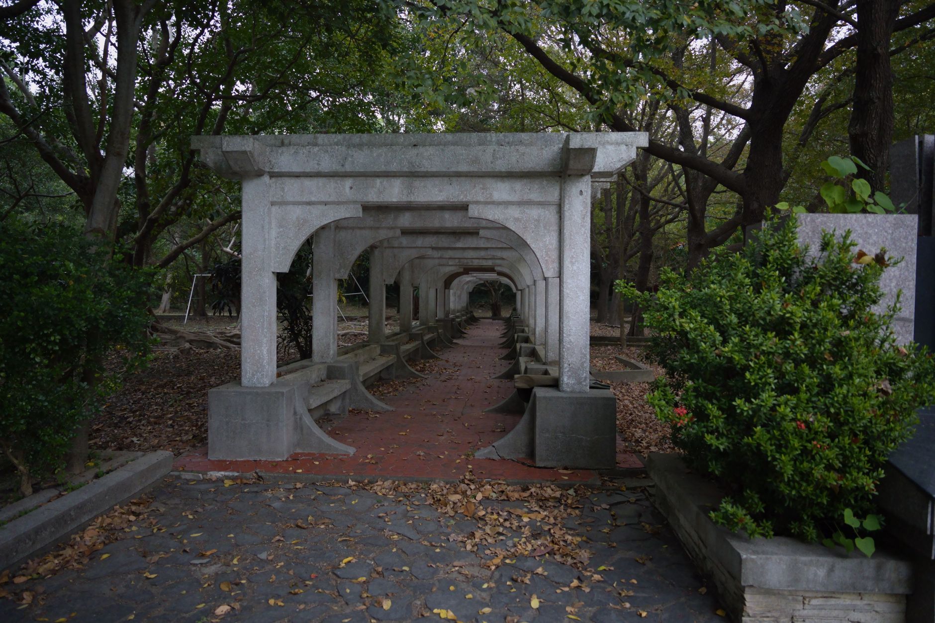 司馬庫斯巨木群步道