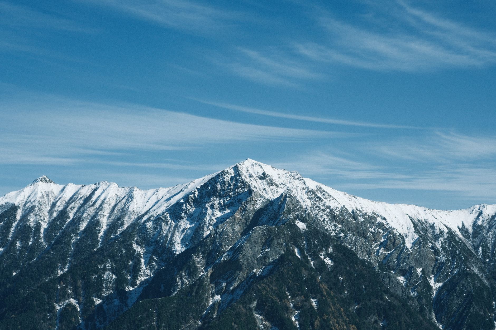 雪山黑森林