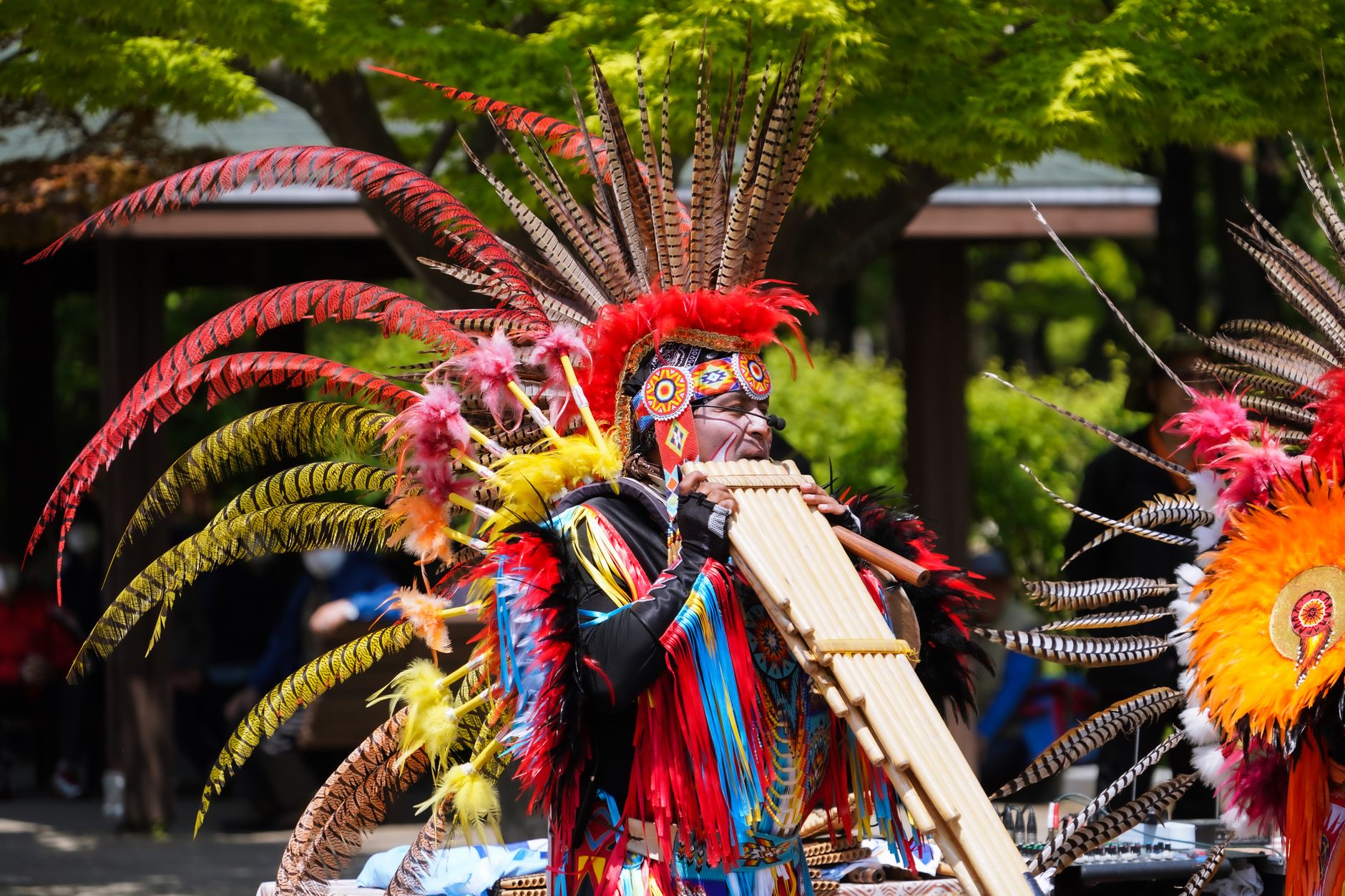花蓮阿美族豐年祭文化傳承