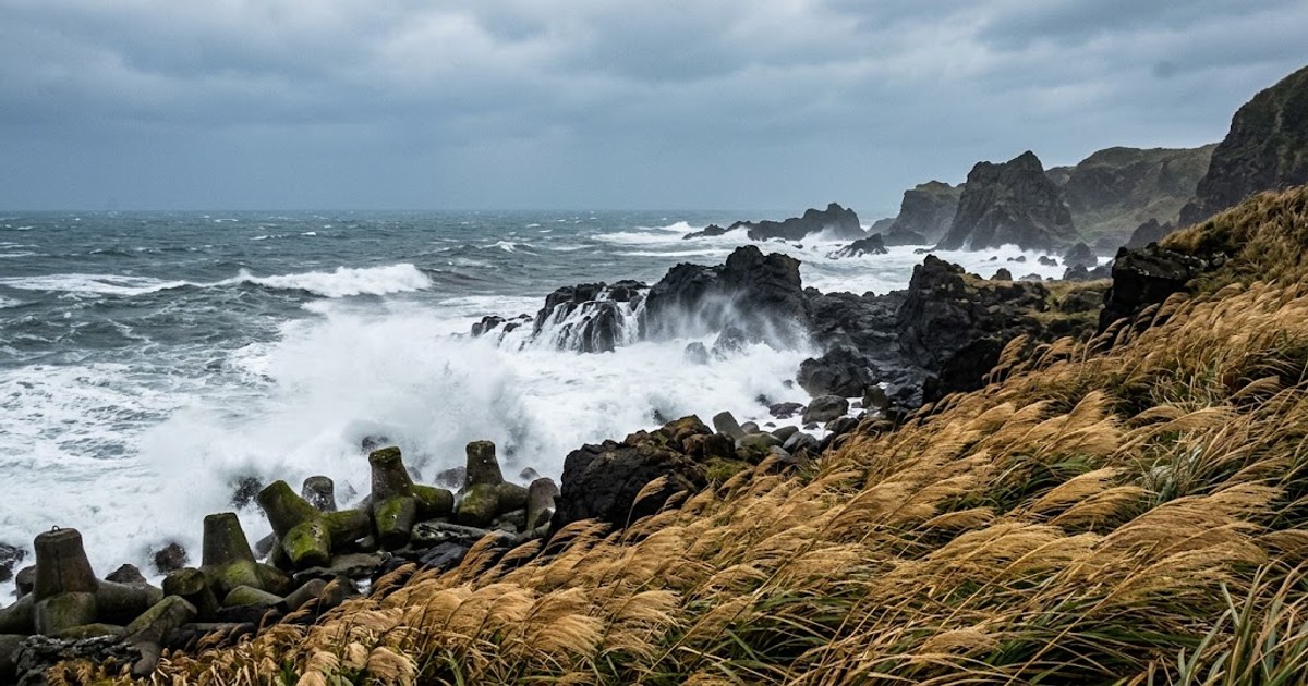 東北季風旅遊天氣指南：首波報到時間、影響區域與行程應變一次看懂