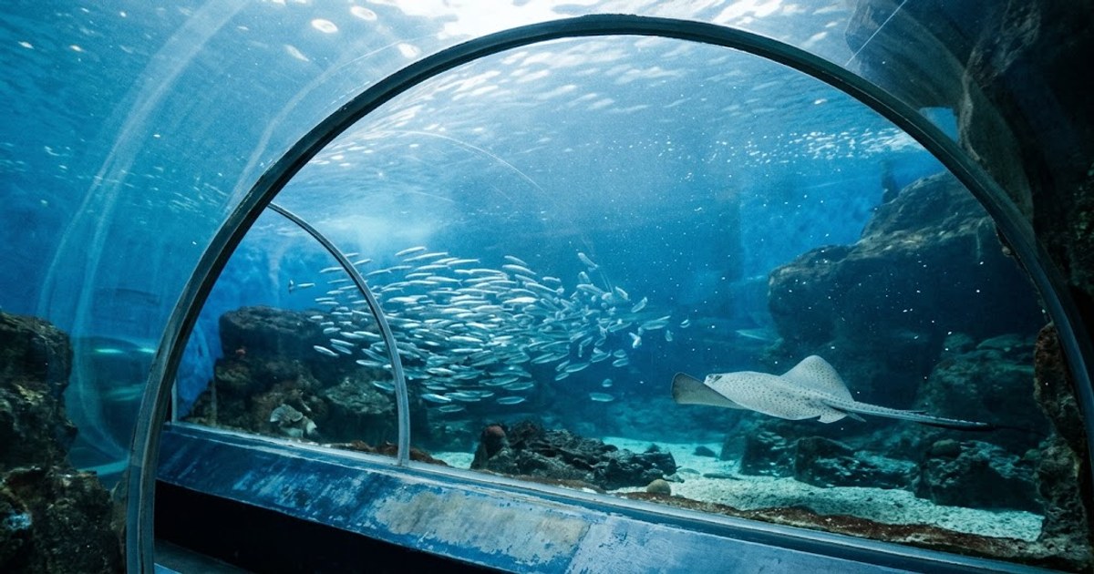 台灣主題樂園與水族館旅遊人潮